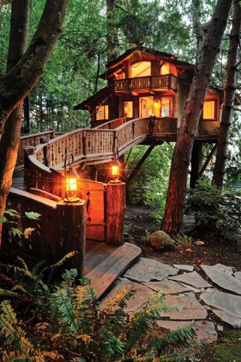 Amazing Tree House