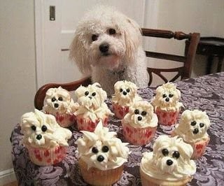 Which Is The Real Dog?