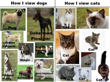 Cats & Dogs
