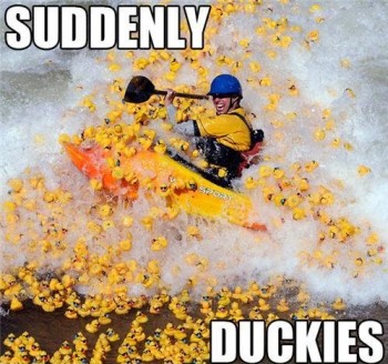 Suddenly Duckies