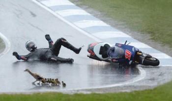 Like water on a duck's back