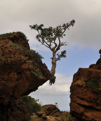 Living On The Edge