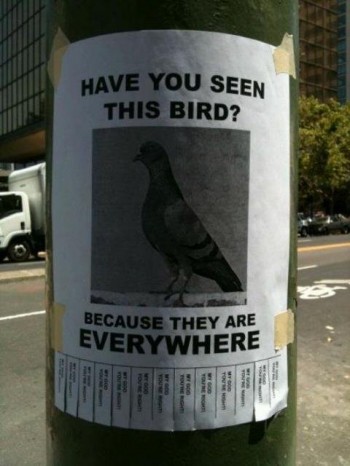 Everywhere