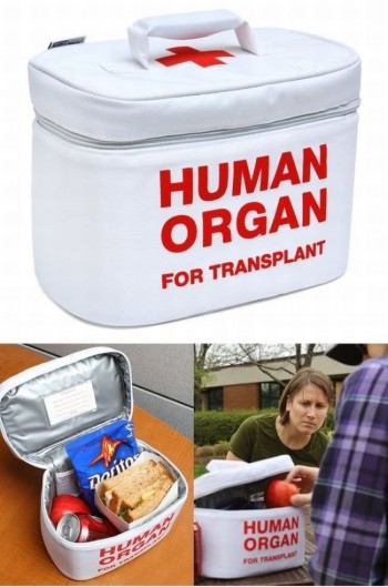 Human Organs