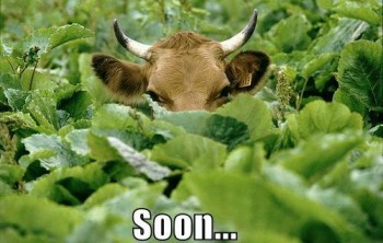 Soon