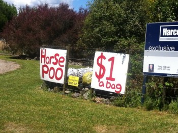 Bag of Horse Poo