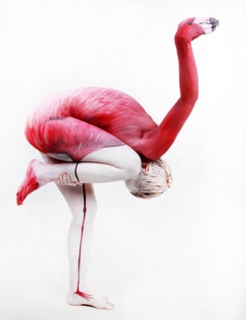 Flamingo