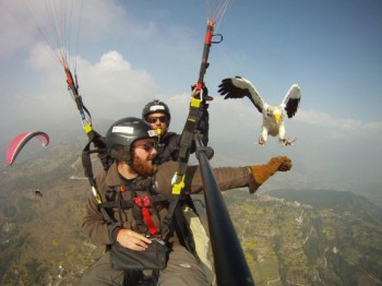 Just Flying By