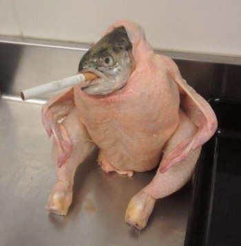 Fish In A Chicken Suit, Smoking A Cigarette