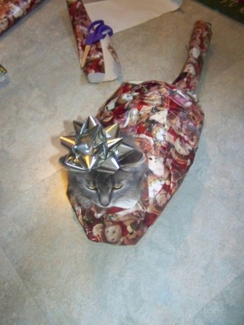 Kitty Christmas