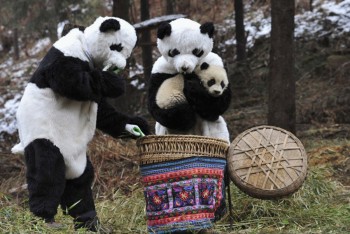 Meanwhile In China