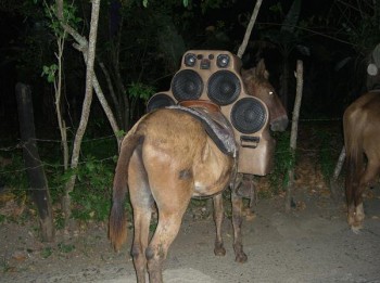 Ghetto Ass