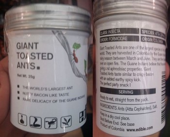 Giant Toasted Ants