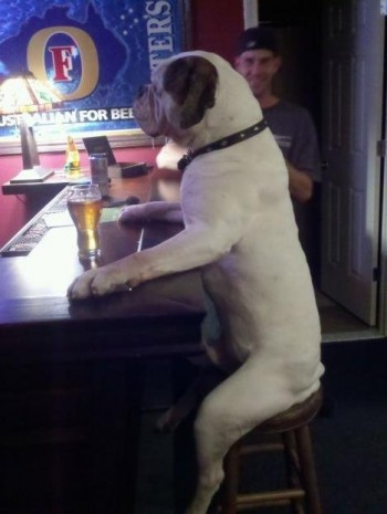 Just Having a Beer