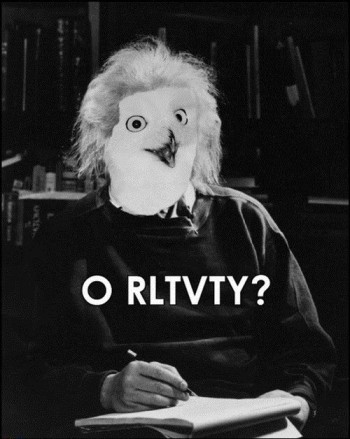 Owlbert Einstein