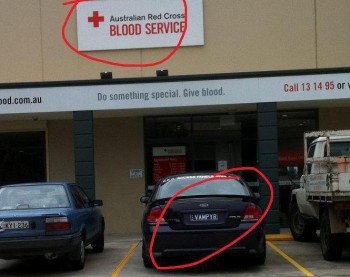 Blood Vampire