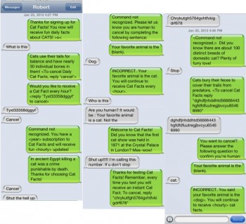 Cat Facts!