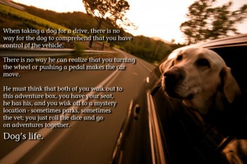 Dog's Life