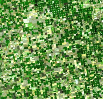 Kansas Farmland From Above