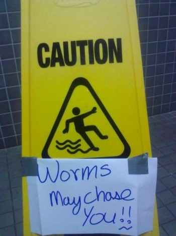 Worms May Chase You