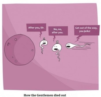Gentlemen