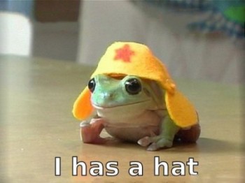 I has a hat