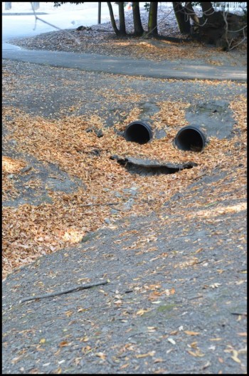 Happy Pipes