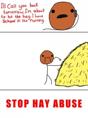 Hitting The Hay