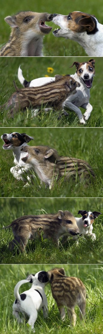 Best Friends!