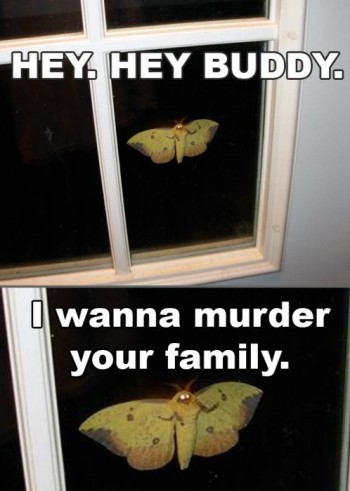 Hey Buddy