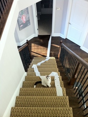 It Wasn't Me