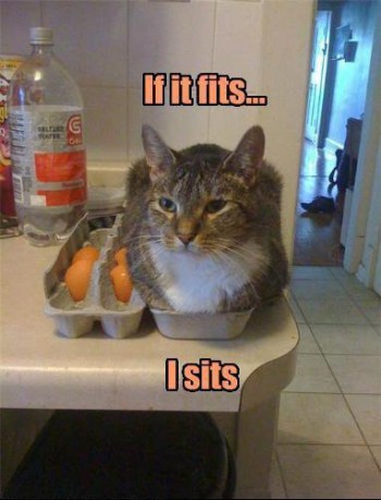 If It Fits