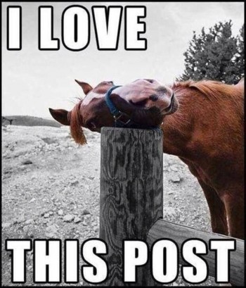 I love This Post