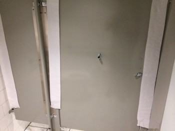 Paranoid Pooper