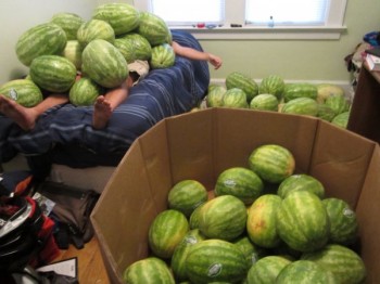 Watermelons