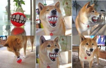 Teeth