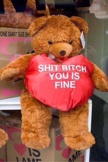 Nice Bear
