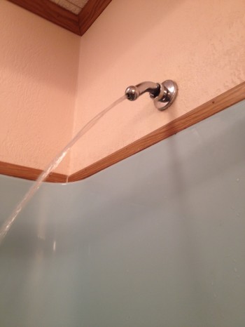 Room mate removed the shower head...