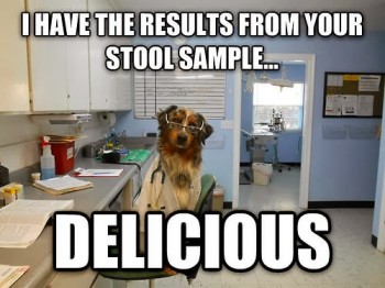 Oh Dog