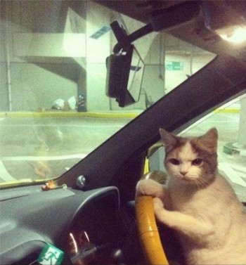 We don't need to ask for directions, ok?