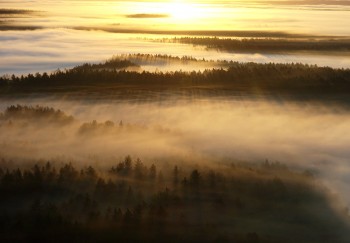 Labanoras Forest, Lithuania