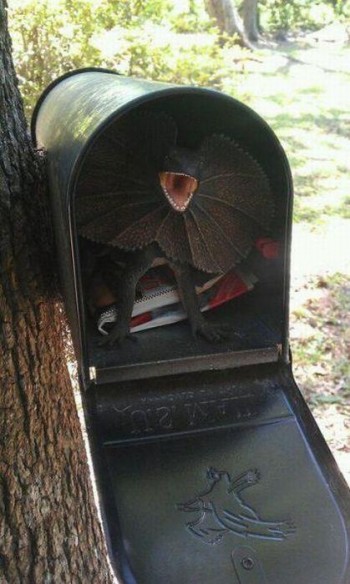 How to scare the shit out of your local postman