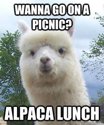 Wanna Go On A Picnic?
