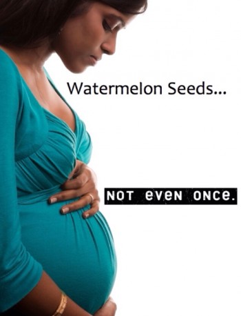 Watermelon Seeds...