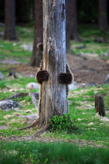 They'll never find me here