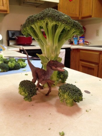 Got bored making dinner