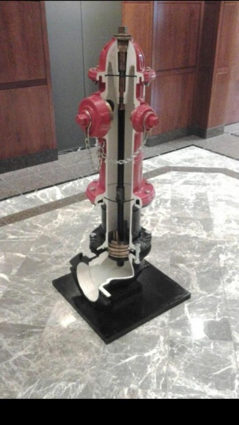 Inside View of a Fire Hydrant