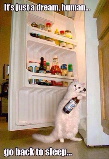 It's just a dream, human...