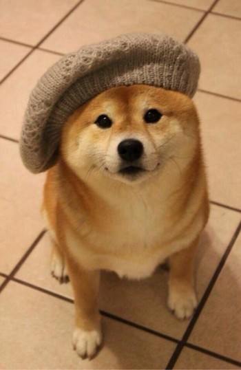 Much Stylish