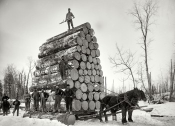 Michigan Loggers